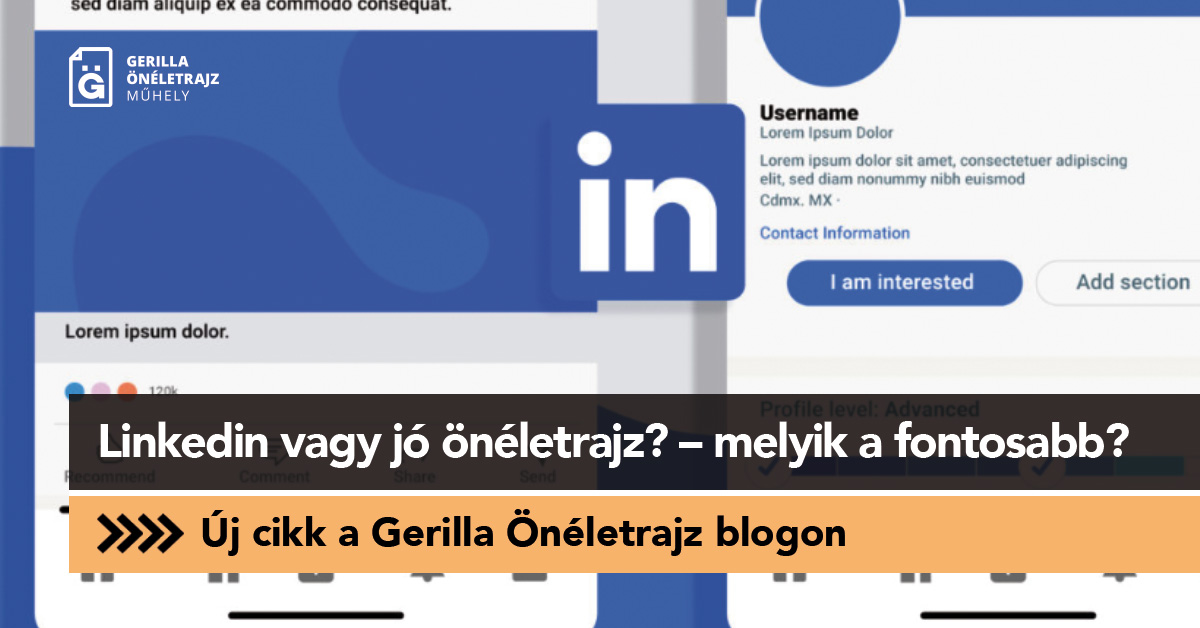 Linkedin vagy jó önéletrajz? – melyik a fontosabb?